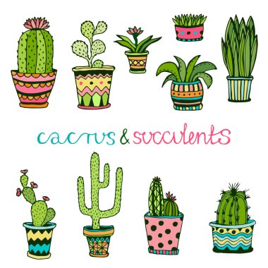 Cactuse and succulent hand drawn set. clipart