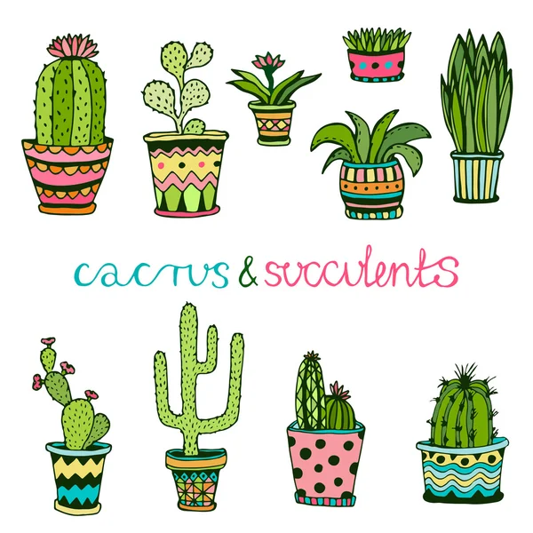 Cactuse en sappig hand getrokken set. — Stockvector