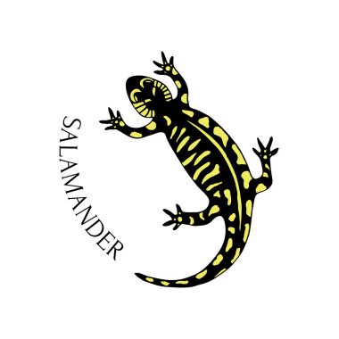 salamander in black and yellow color clipart