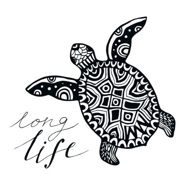 Zentangle kaplumbağa kaligrafi alıntı ile