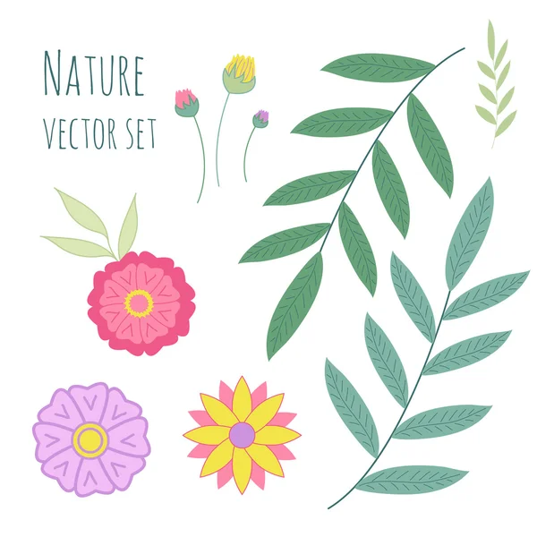 Vector floral set. — Stock Vector