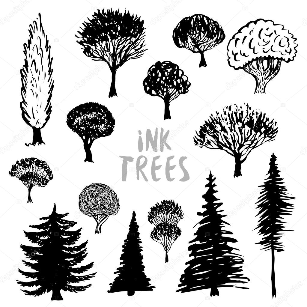 Trees silhouette vector.