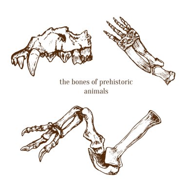 arkeolojik kazı buluntuları