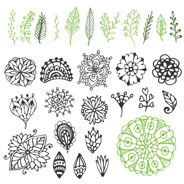 Zentangle coleção natureza . — Vetor de Stock