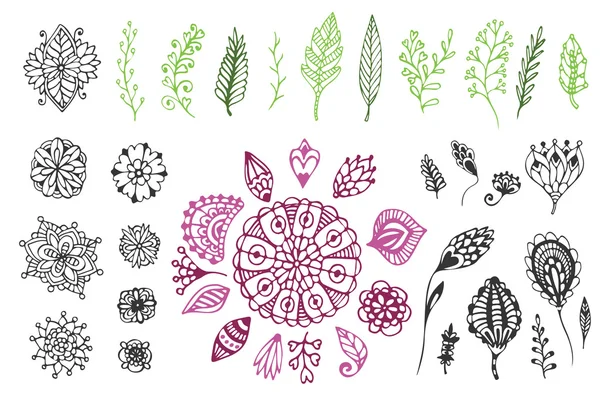 Big Nature hand drawn collection. — Stock Vector