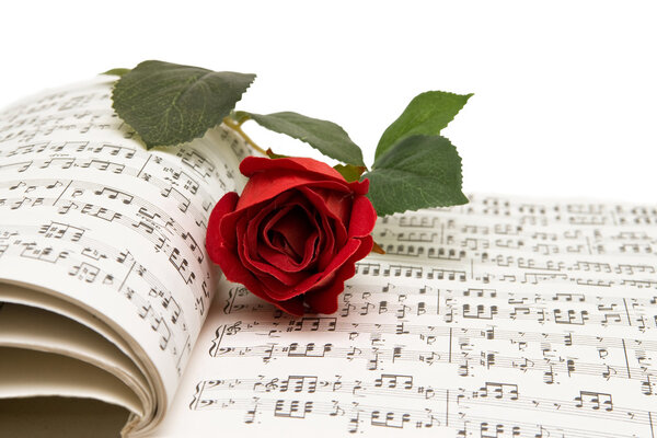 Rose and notes