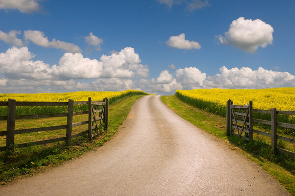 Дорога в никуда
