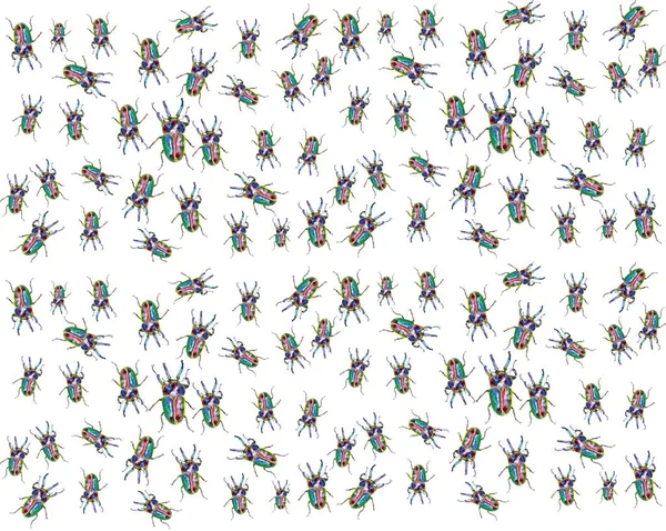 Insect Bug Patterns Cards Fabrics Planet — Stock Photo, Image