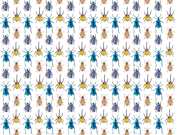 Insect Bug Patterns Cards Fabrics Planet — Stock Photo, Image