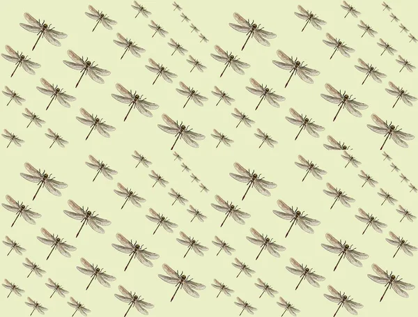 Insectes Insectes Modèles Pour Cartes Tissus Planète — Photo
