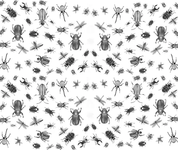 Insect Bug Patterns Cards Fabrics Planet — Stock Photo, Image