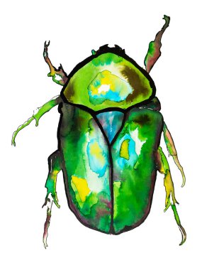 Hata, tekstil veya kartlar için beyaz arkaplanda suluboya böcek