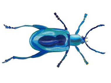 Hata, tekstil veya kartlar için beyaz arkaplanda suluboya böcek