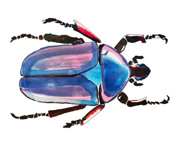 Hata, tekstil veya kartlar için beyaz arkaplanda suluboya böcek