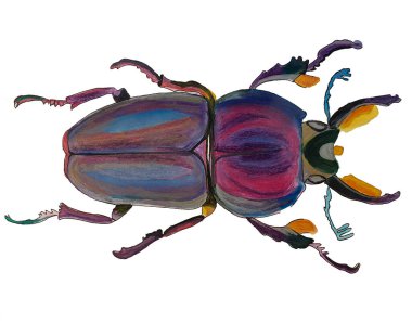 Hata, tekstil veya kartlar için beyaz arkaplanda suluboya böcek