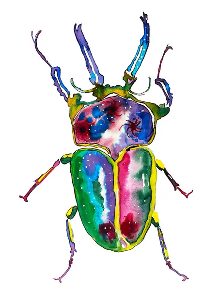 Käfer Insekt Aquarell Auf Weißem Hintergrund Für Textilien Oder Karten — Stockfoto