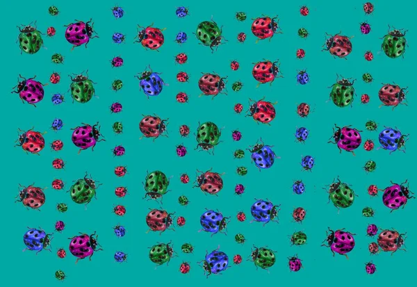 Illustration Patterns Ladybug Textiles Cards Insect — Stock Photo, Image