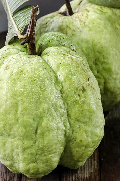 Goiaba com gota de água — Fotografia de Stock