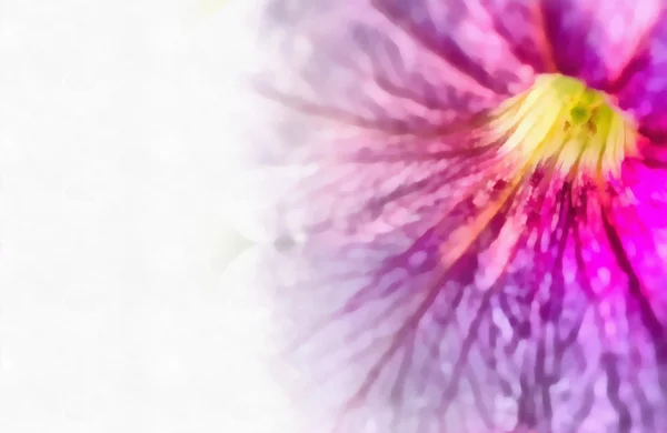 Digital painting of pink flower — Stock Photo, Image