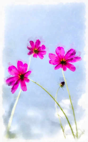 Painting of cosmos flower — Stock Photo, Image