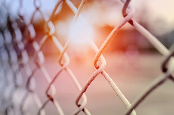 Paslı çelik tel örgü çit altında güneş ışığı, yumuşak odak.