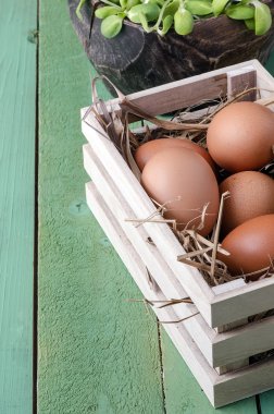 doğada tavuk yumurta yumurta ahşap kutusunda,.