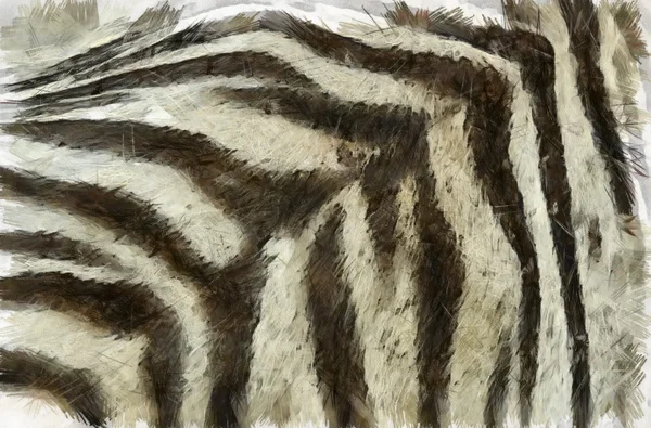 Kaplan çizgili desen