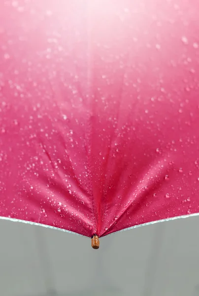 Regenschirm in Nahaufnahme — Stockfoto