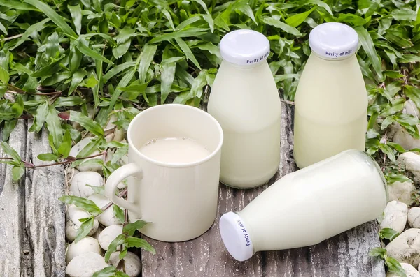 Čerstvé mléko v přírodě — Stock fotografie
