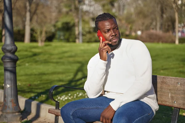 Portrait of young African American man talking on cell phone in a park. Pria kulit hitam dengan kepang di rambutnya. — Stok Foto