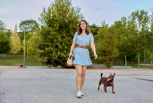 Gadis muda berambut coklat muda yang ceria dengan gaun biru berjalan dengan anjingnya di taman kota. Fir 'aun beternak anjing untuk berjalan-jalan . — Stok Foto