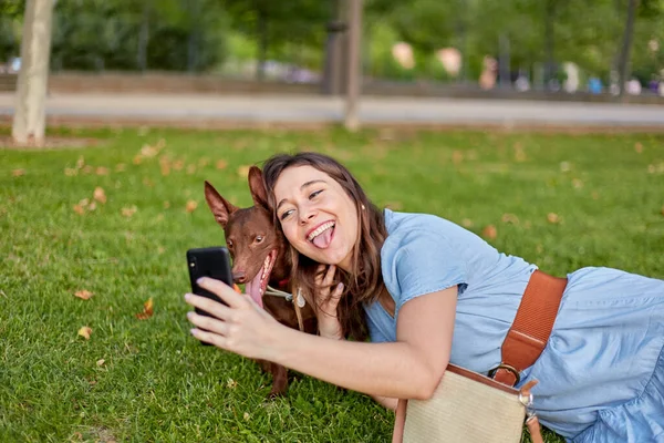 Menina bonito saindo de sua língua fazendo uma selfie com seu cão faraó deitado na grama em um parque. — Fotografia de Stock
