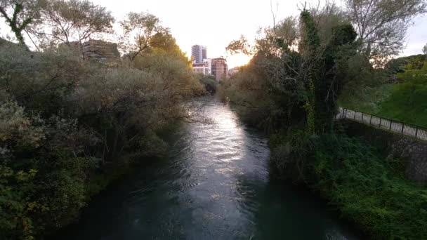 Черная Река Терни Закате Идущие Болотного Водопада — стоковое видео