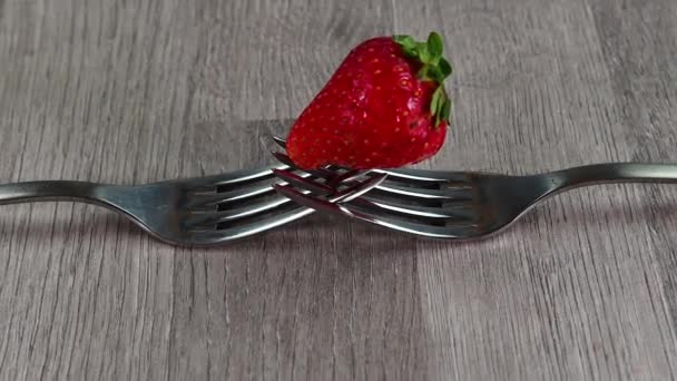 Composition avec fraise et fourchettes — Video