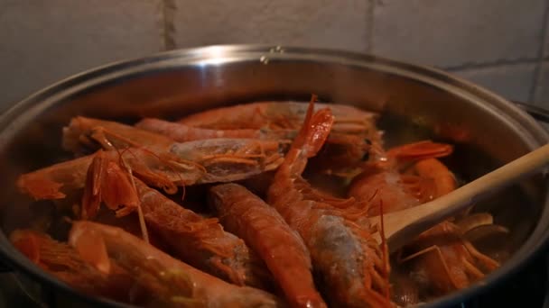 Μαγείρεμα ψαρόσουπα με θαλασσινά — Αρχείο Βίντεο