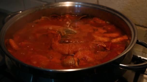 用海鲜煮鱼汤 — 图库视频影像