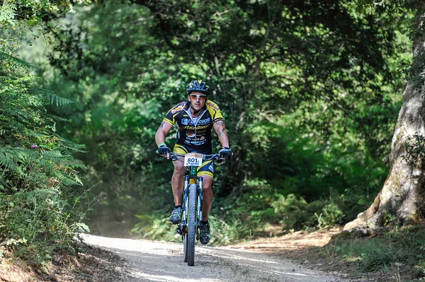 Terni Ιταλία Αυγούστου 2019 Road Mtb Ποδηλατικός Αγώνας Ανταγωνιστική Ομάδα — Φωτογραφία Αρχείου