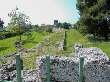 Güneşli bir günde peestum Napoli 'nin arkeolojik kazıları