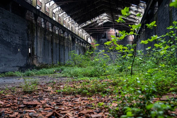 Abandoned Factory Its Interior What Remains Tedriti Nature — Stock Photo, Image