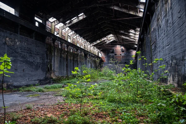 Verlassene Fabrik Ihr Inneres Und Das Von Ihr Übrig Geblieben — Stockfoto