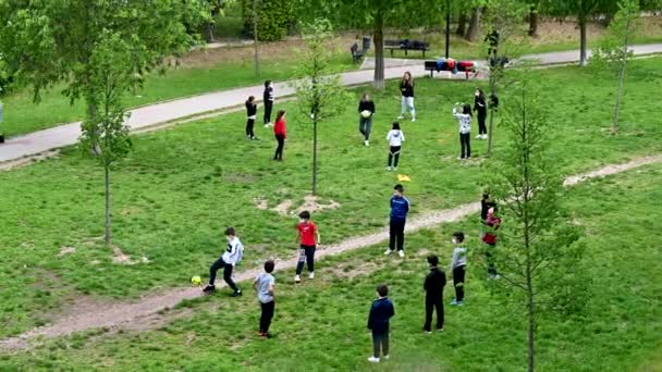 Schoolkinderen in het park spelen met de bal — Stockvideo