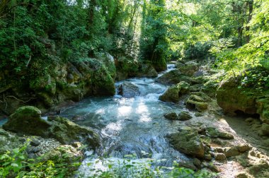 Ormandaki nehir, aynı zamanda rafting yaptıkları bataklığın şelalesinden geliyor.