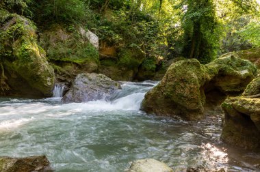 Ormandaki nehir, aynı zamanda rafting yaptıkları bataklığın şelalesinden geliyor.