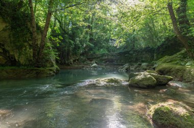 Ormandaki nehir, aynı zamanda rafting yaptıkları bataklığın şelalesinden geliyor.
