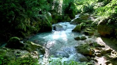 Ormandaki nehir mermer şelaleden geliyor.