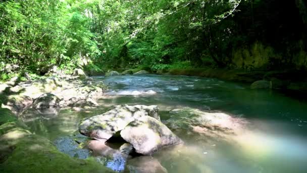 Rio na floresta que vem da cachoeira de mármore — Vídeo de Stock