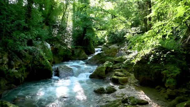 Fluss im Wald, der vom Wasserfall aus Marmor kommt — Stockvideo