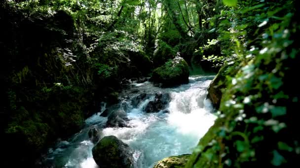 Fluss im Wald, der vom Wasserfall aus Marmor kommt — Stockvideo