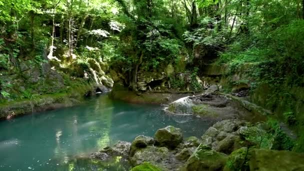 Rzeka w lesie pochodząca z marmurowego wodospadu — Wideo stockowe