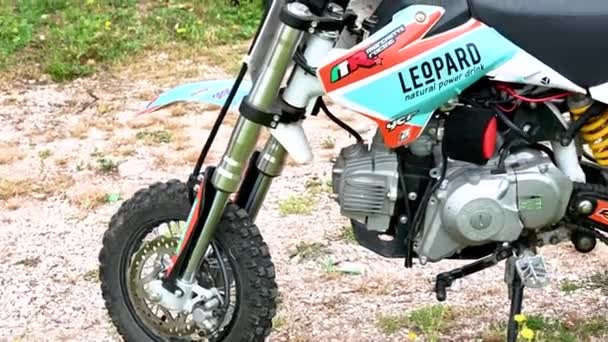 Pit bike mini motocross motor detalj — Stockvideo